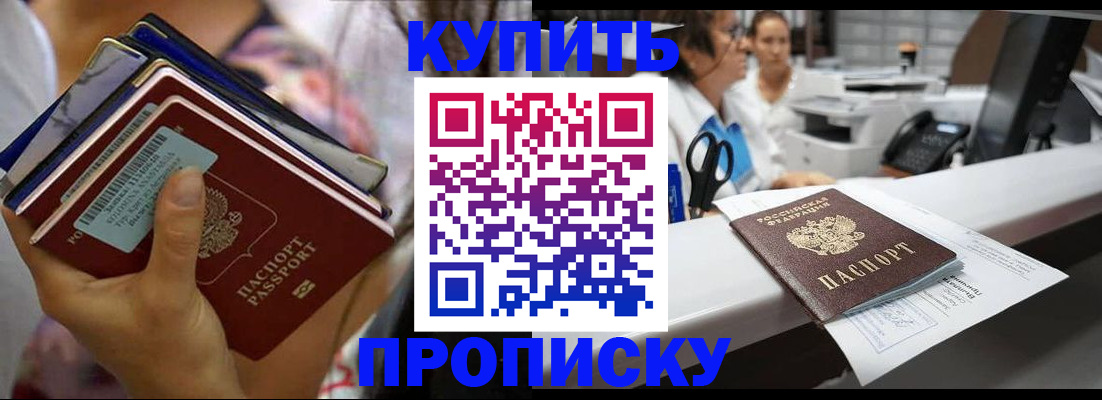 прописка для школы в Ленинградской области